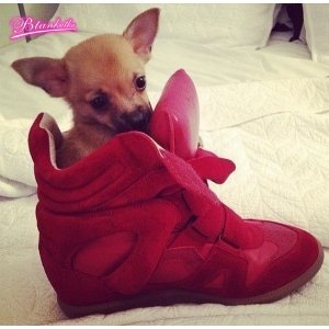 Isabel Marant Red (France)