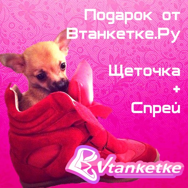 Подарок к Isabel Marant Щеточка и Спрей 